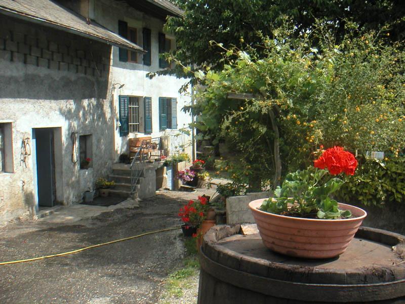 Domaine De La Safraniere - Chambre D'Hote Saint-Leger  Exterior photo