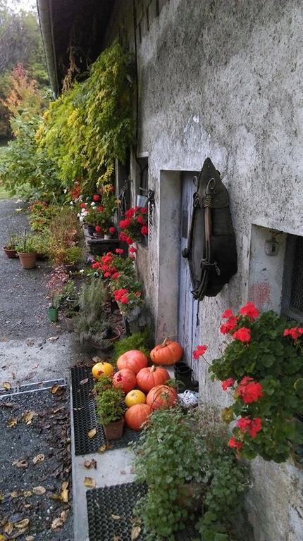 Domaine De La Safraniere - Chambre D'Hote Saint-Leger  Exterior photo